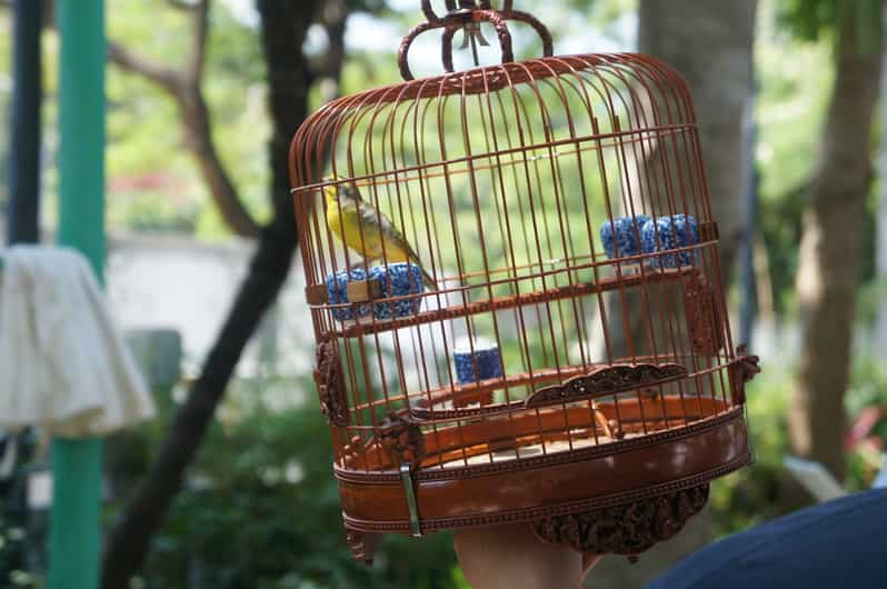 Tour a pie de los Mercados de Kowloon en grupo reducido