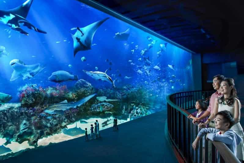 Singapur: entrada electrónica al S.E.A Aquarium