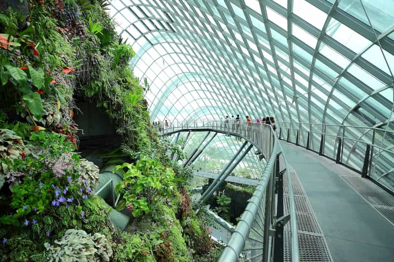 Ciudad de Singapur: Jardines de la Bahía y S.E.A. Aquarium