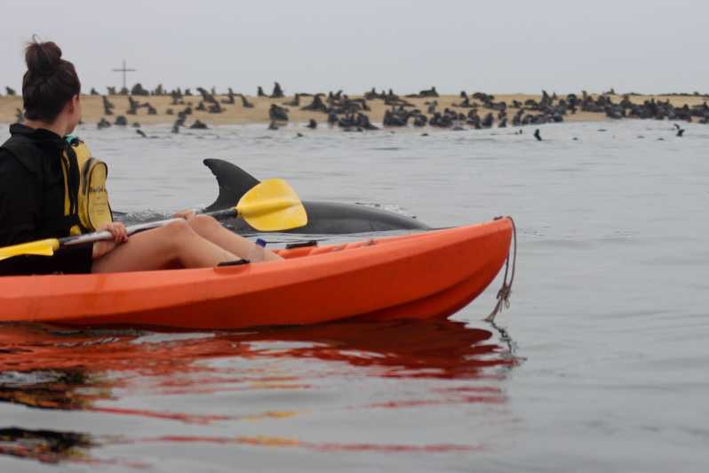 Excursión Combinada en Kayak y el Puerto de Sándwich