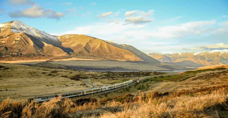 El Paso de Arturo: Excursión de un día en tren TranzAlpine y Castle Hill