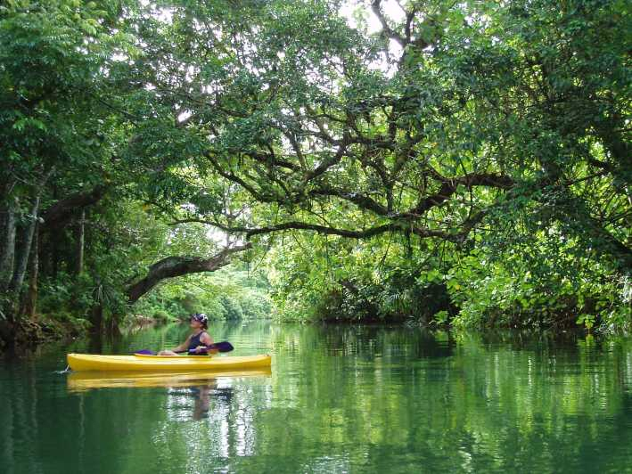 Port Vila: tour de medio día en kayak por el río en grupos pequeños