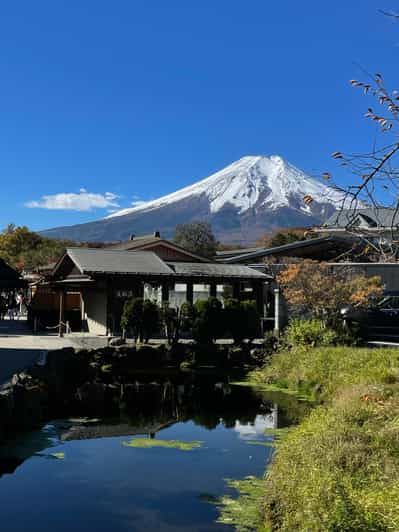 Tour privado de un día en el Monte Fuji con conductor de habla inglesa