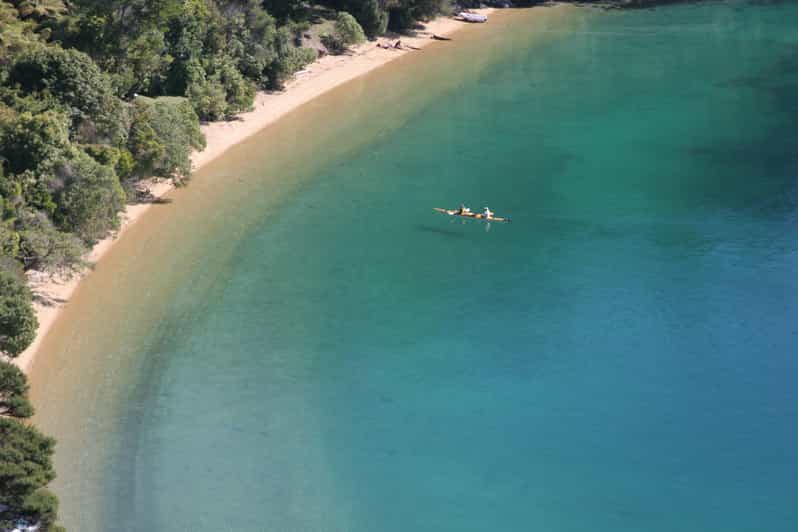 Marlborough Sounds: Excursión guiada en kayak de día completo con almuerzo