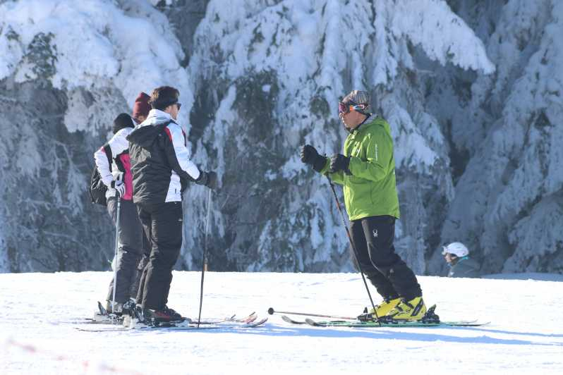 Borovets: Clases en grupo de esquí o snowboard para todos los niveles