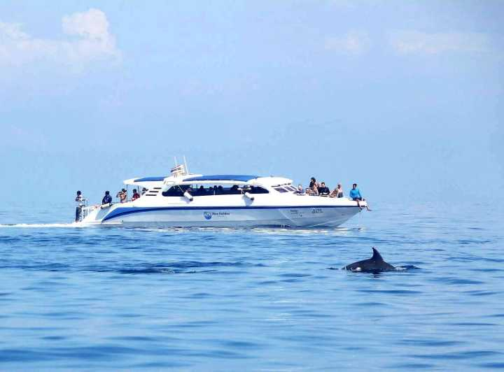 Khao Lak: Excursión de snorkel a las Islas Surin en lancha rápida y almuerzo