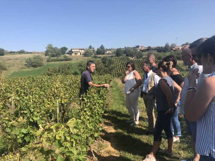 Desde Lyon: viaje de cata de vino a Beaujolais