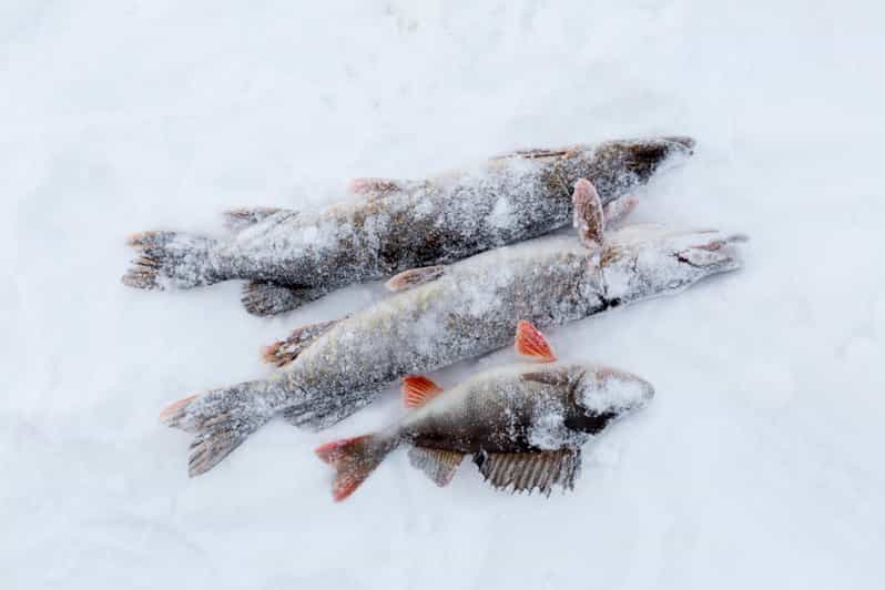 Levi: Pesca en hielo con moto de nieve