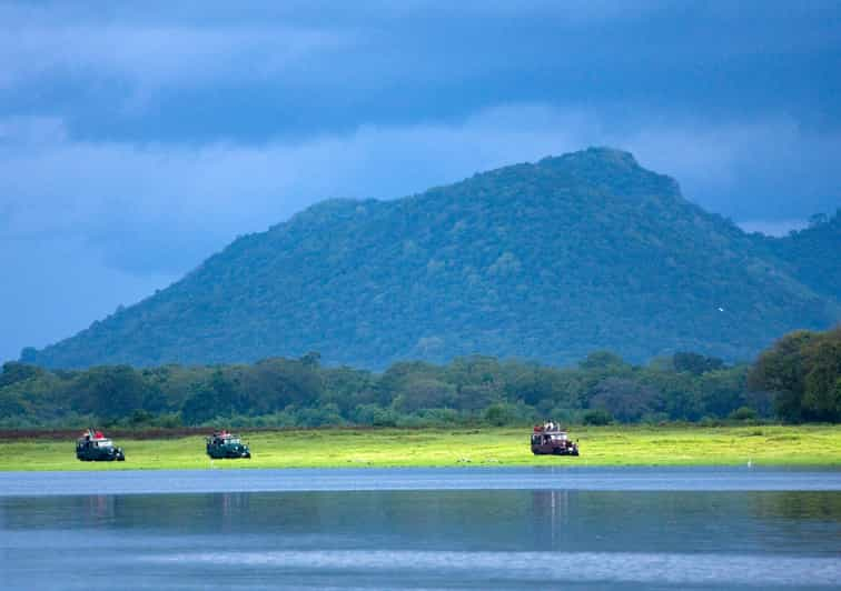 Safari privado de un día por el Parque Nacional de Udawalawe