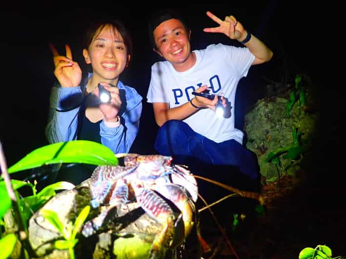 Miyakojima: Tour nocturno a pie por las Estrellas y la Selva de la Isla de Miyako