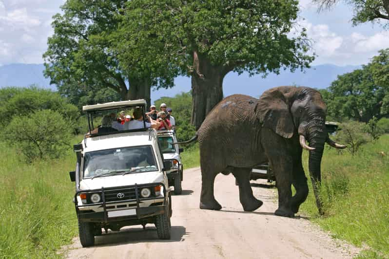 Tsavo Este y Oeste: Safari de 3 días por la naturaleza desde Mombasa