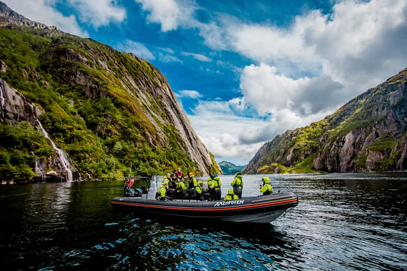 Desde Svolvaer: Safari con águilas marinas a Trollfjord