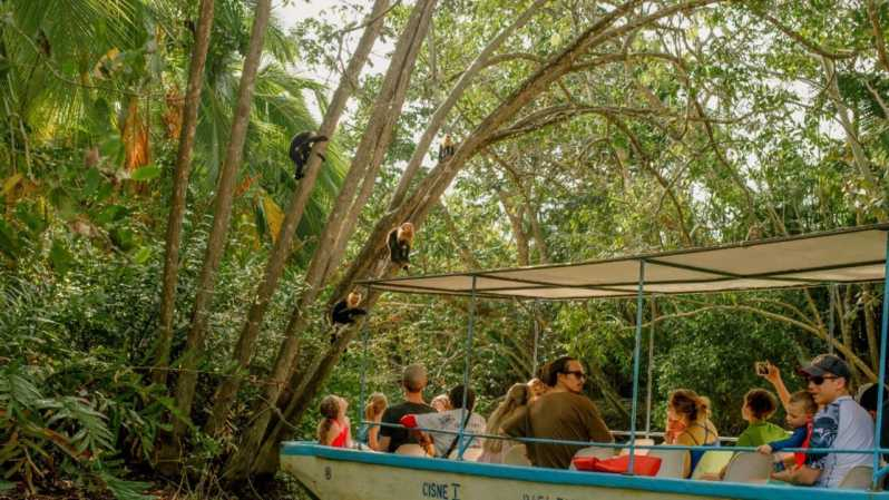 Manuel Antonio: Tour en barco guiado por los manglares naturales y bebidas