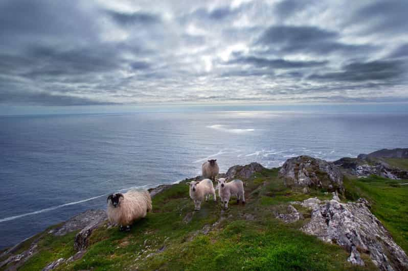 Desde Cork: Excursión guiada de día completo de West Cork a Mizen Head