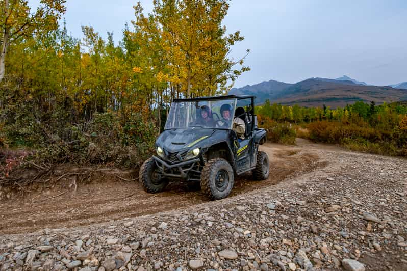 Parque Nacional de Denali: Aventura salvaje en quad