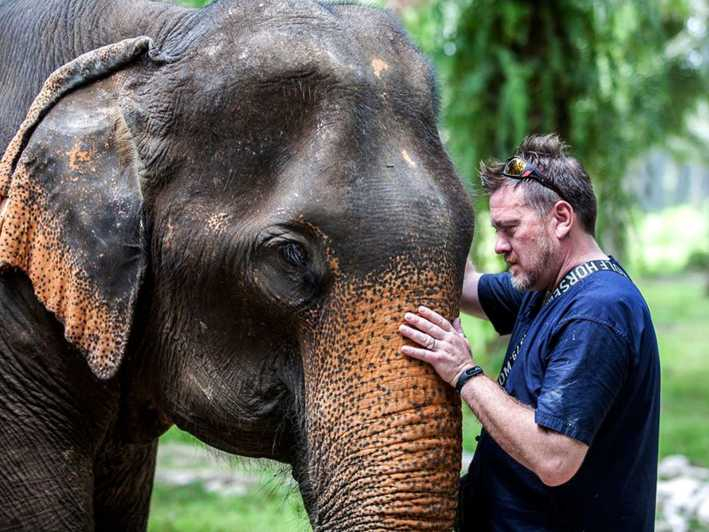 Ko Lanta Yai: Excursión de medio día al Santuario Ético de Elefantes