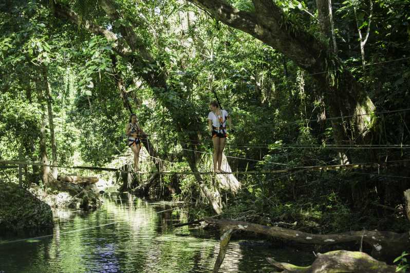 Bridges of Eden: caminata de 2 horas por la selva tropical, natación y tirolesa