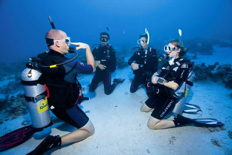 Desde Dubai Curso PADI Open Water de 2 días en Dibba Fujairah