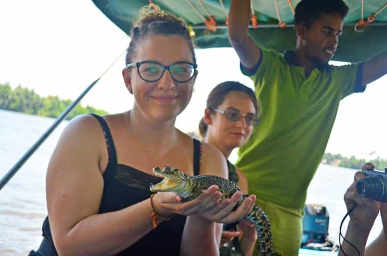 Safari por el río Bentota (Safari en barco por la laguna)