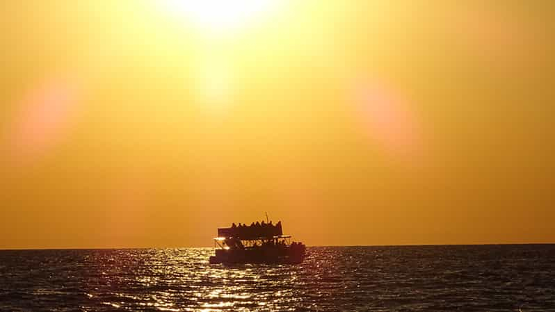 Ciudad de Panamá: Crucero con delfines al atardecer en la Bahía de San Andrés