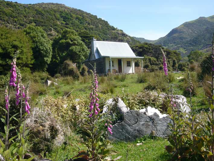 Akaroa: Paquete de 24 horas para pasar la noche en Pohatu Penguin