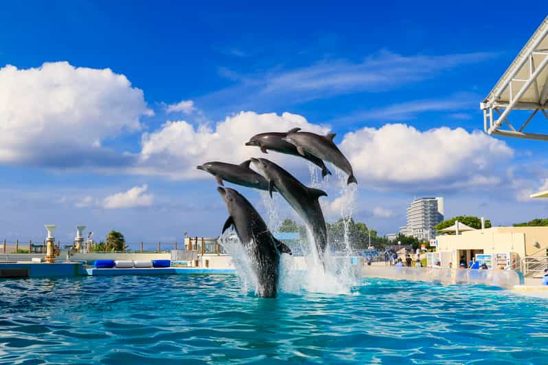 Okinawa: tour en autobús al acuario de Churaumi con visitas turísticas