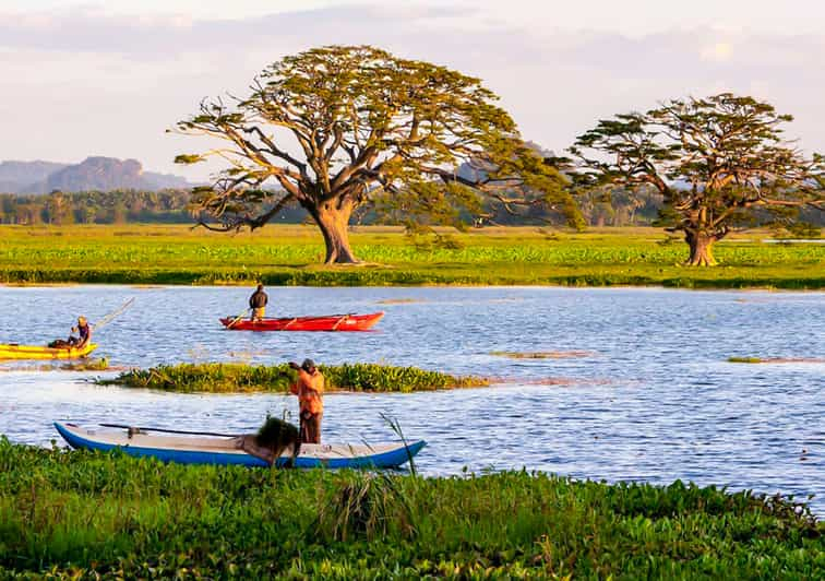 Yala: Excursión al atardecer en barco y cena barbacoa en la playa