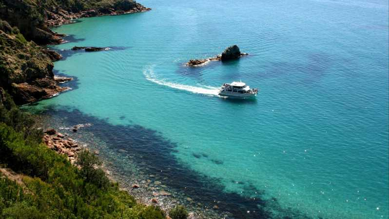 Isla Phillip: Crucero panorámico de 1 hora por el Cabo Woolamai