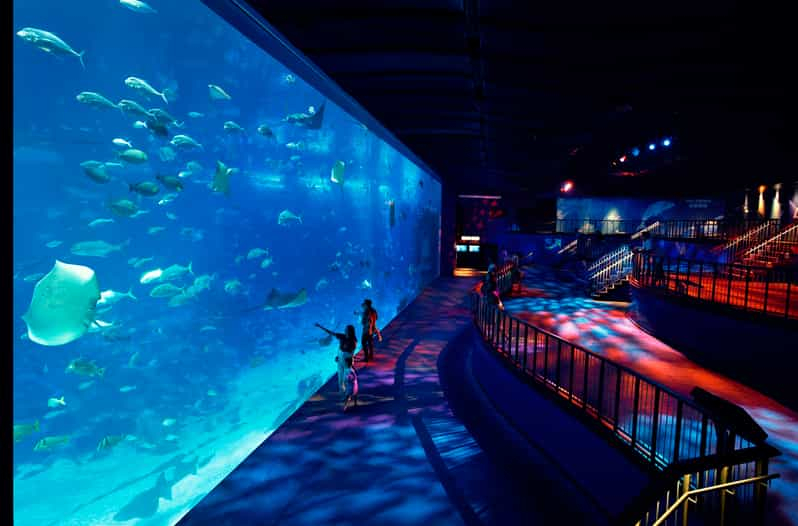 Singapur: S.E.A. Aquarium Ticket de entrada