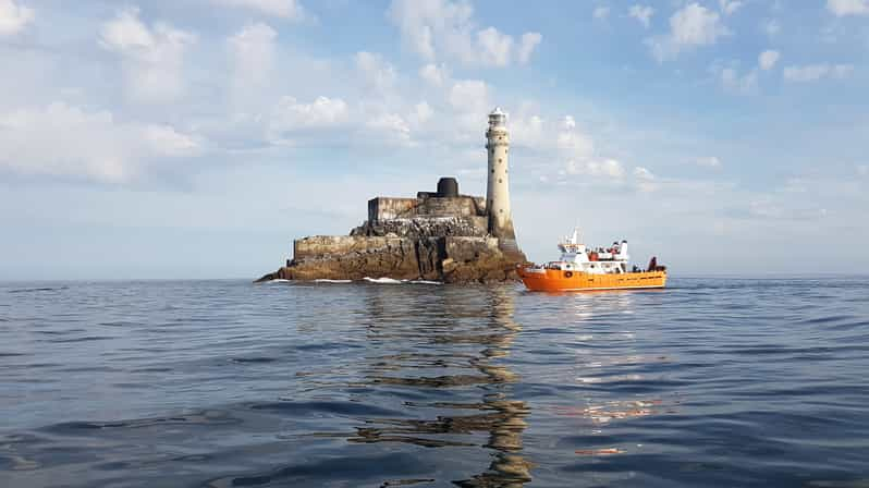 Cork: Visita al Faro de Fastnet Rock y a la Isla de Cape Clear