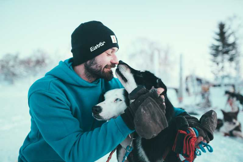 Tromsø: Aventura autodirigida en trineo tirado por perros huskies