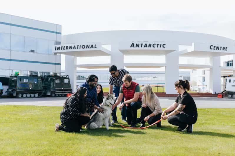 Entradas para el Centro Antártico Internacional de Christchurch