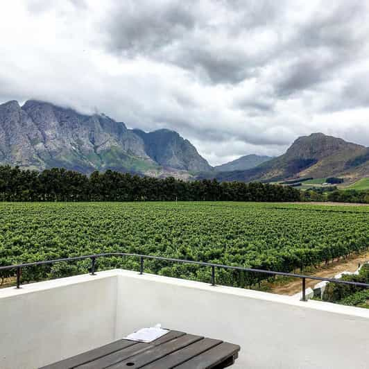 Desde Ciudad del Cabo: Excursión en Bicicleta por los Viñedos de Franschhoek con Almuerzo