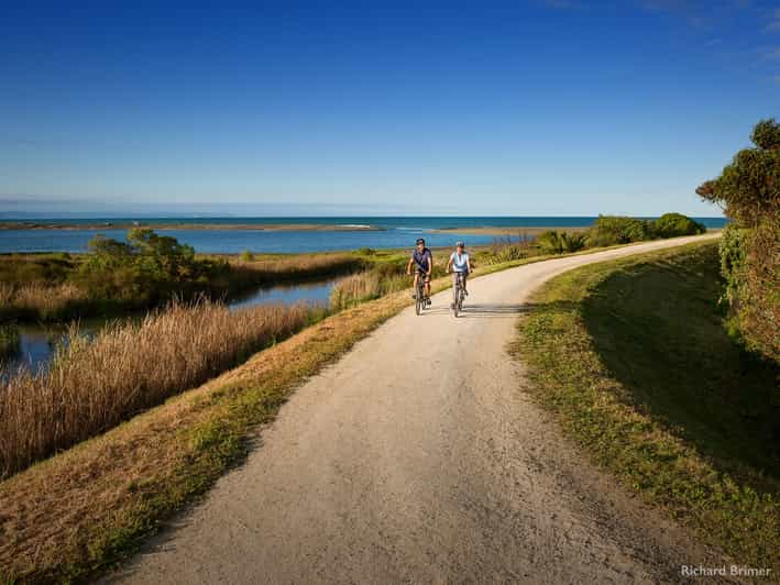 Napier: Recorrido por las Bodegas de Cape Coast a Pedal o en E-Bikes