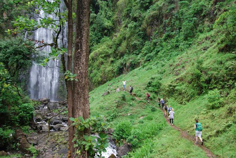 Moshi: excursión de día completo a las cataratas de Materuni y la finca de café