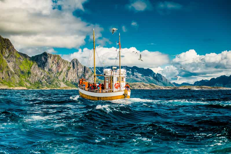 Lofoten: viaje de pesca tradicional