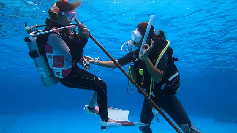 Naha, Okinawa: Excursión de introducción al buceo de un día a las Islas Kerama