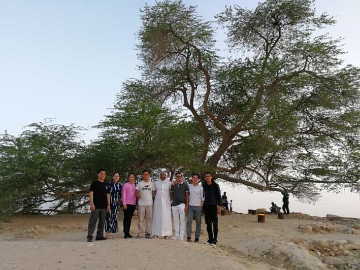 Excursión al desierto y Árbol de la vida