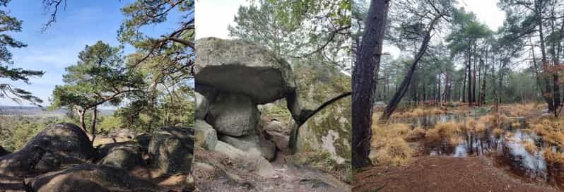 Aventura de senderismo en el bosque de Fontainebleau