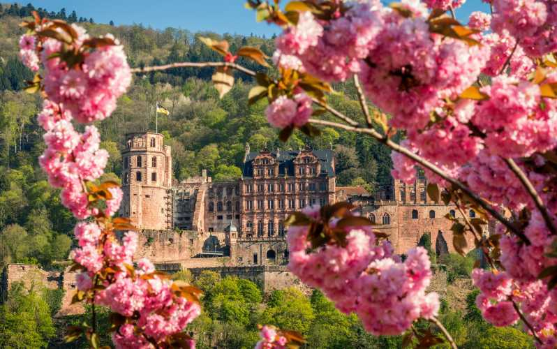 Heidelberg: Tour en autobús turístico y castillo
