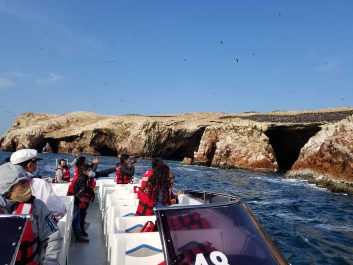 Paracas: tour panorámico en barco a las islas Ballestas