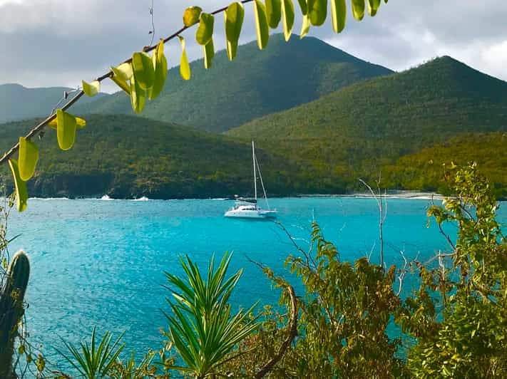 Fajardo: Crucero de un día en catamarán a la isla Palomino con almuerzo