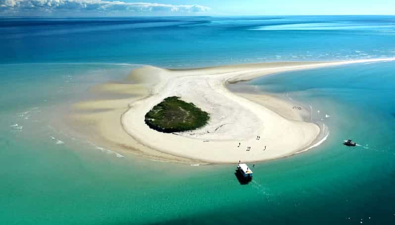 Bahía de Hervey Excursión ecológica para descubrir las tortugas