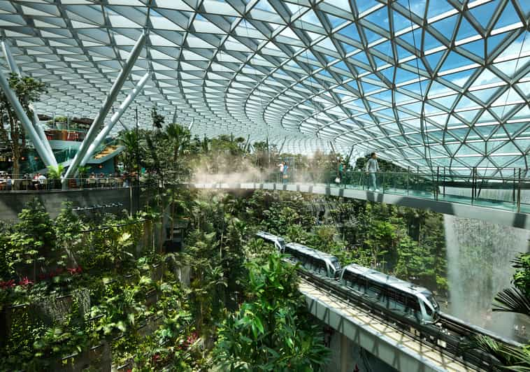 Aeropuerto Jewel Changi: Entrada Mastercard® Canopy Bridge