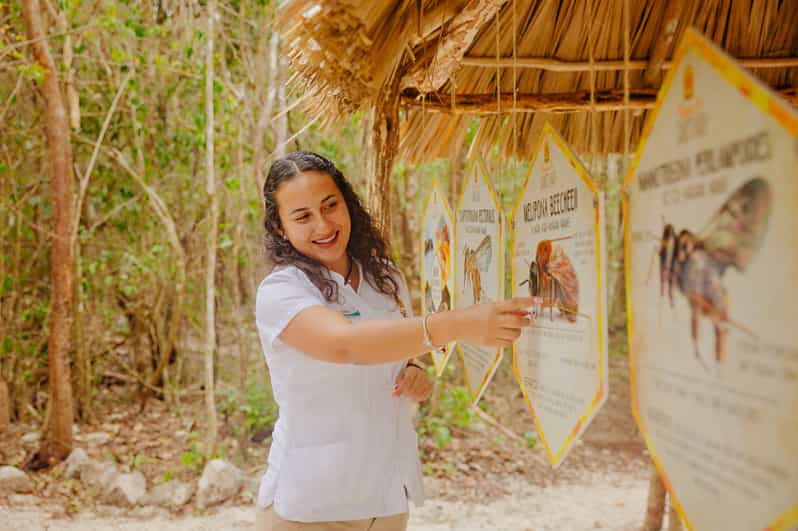 Cozumel: Entrada General al Santuario de las Abejas Mayas