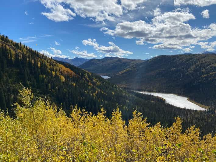 Denali: excursión guiada de 5 horas por el desierto