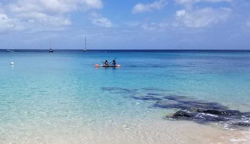 Barbados: Excursión en Kayak por los Arrecifes de Coral de Folkestone