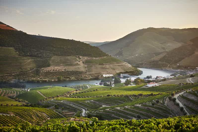 Pinhão: visita y cata en la Quinta do Bomfim