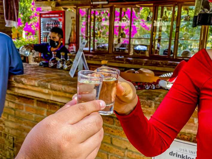 Mazatlán: Fábrica de tequila y turismo rural