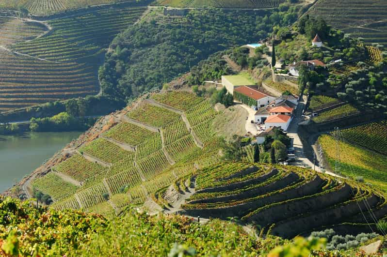 Desde Peso da Regua: Excursión al Valle del Duero